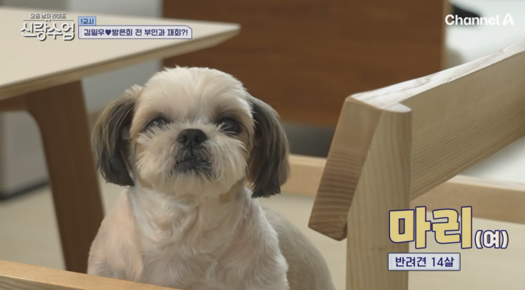 신랑수업, 배우 김일우 강릉 라이프