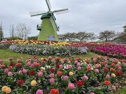 순천만국가정원 입장료 할인방법