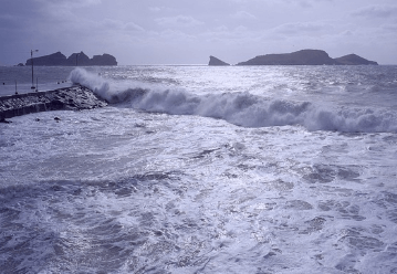 2024년 태풍 예상