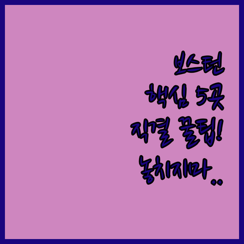 뉴베리 거리 프루덴셜 직결 보스턴 백..