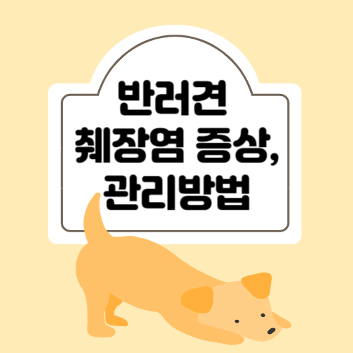 반려견 췌장염 증상 관리 방법