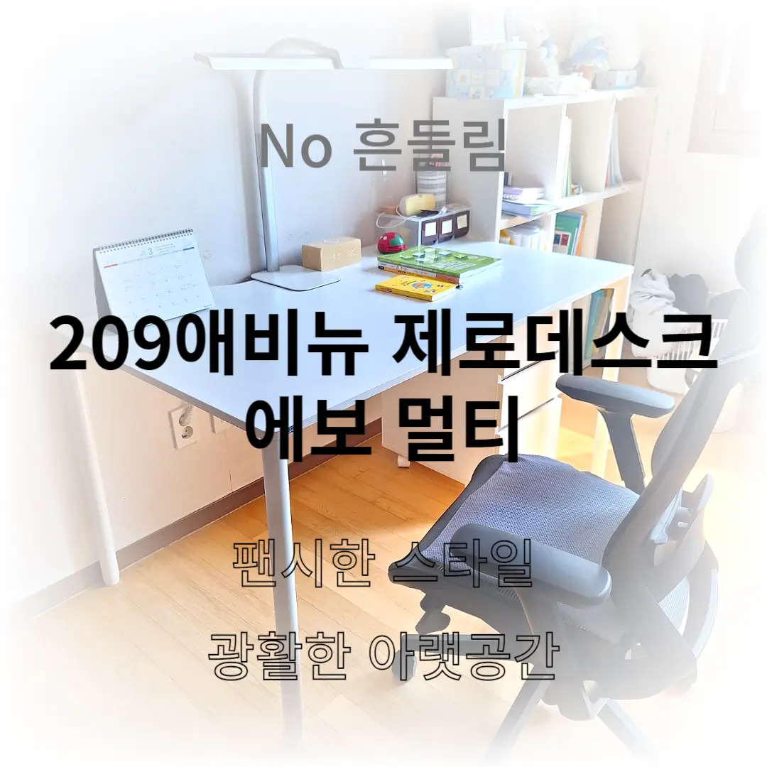 209애비뉴 제로데스크 에보 컴퓨터책상