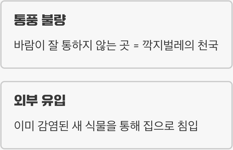 우리 집에 왜 생겼을까요?