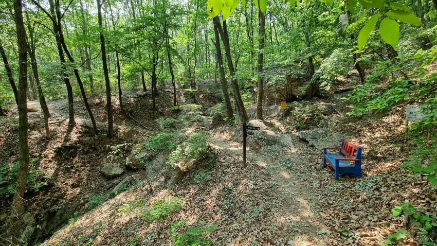 숲속 오솔길, 우측에 파란 벤치 1, 벤치 뒤로는 급경사 오르막 비탈길,