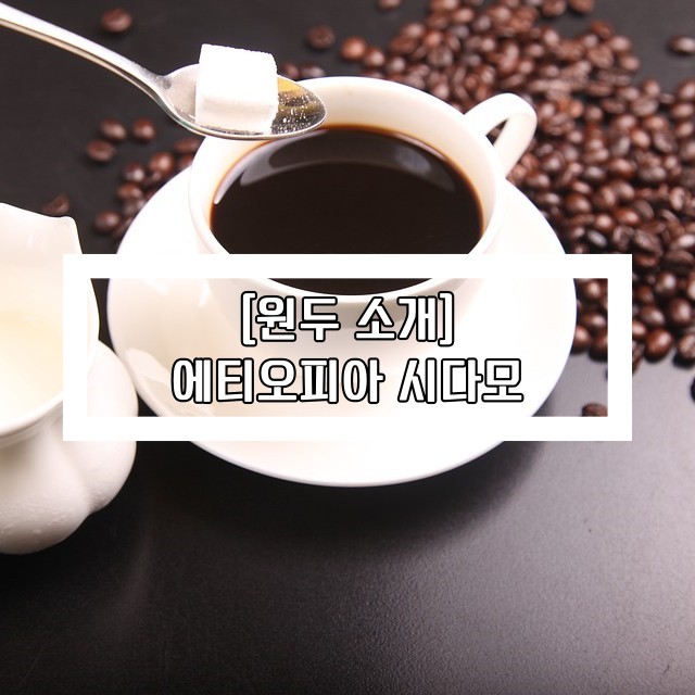 에티오피아 시다모 커피 한잔