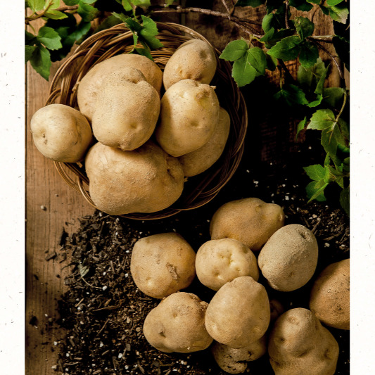 강우 예보 대비 파종 준비물