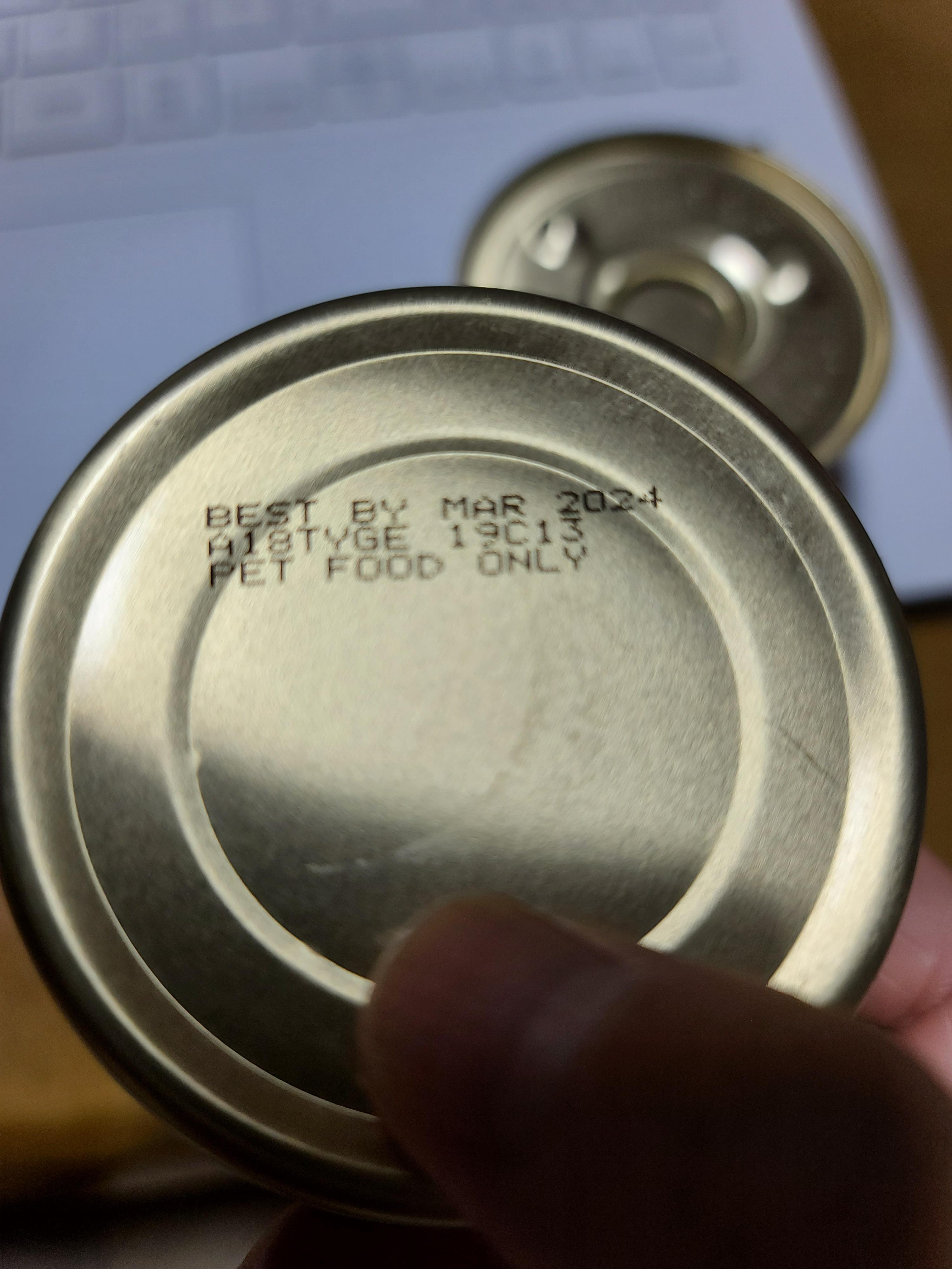 다다와의 전쟁이 끝났드아!! 사료 안먹는 고양이.