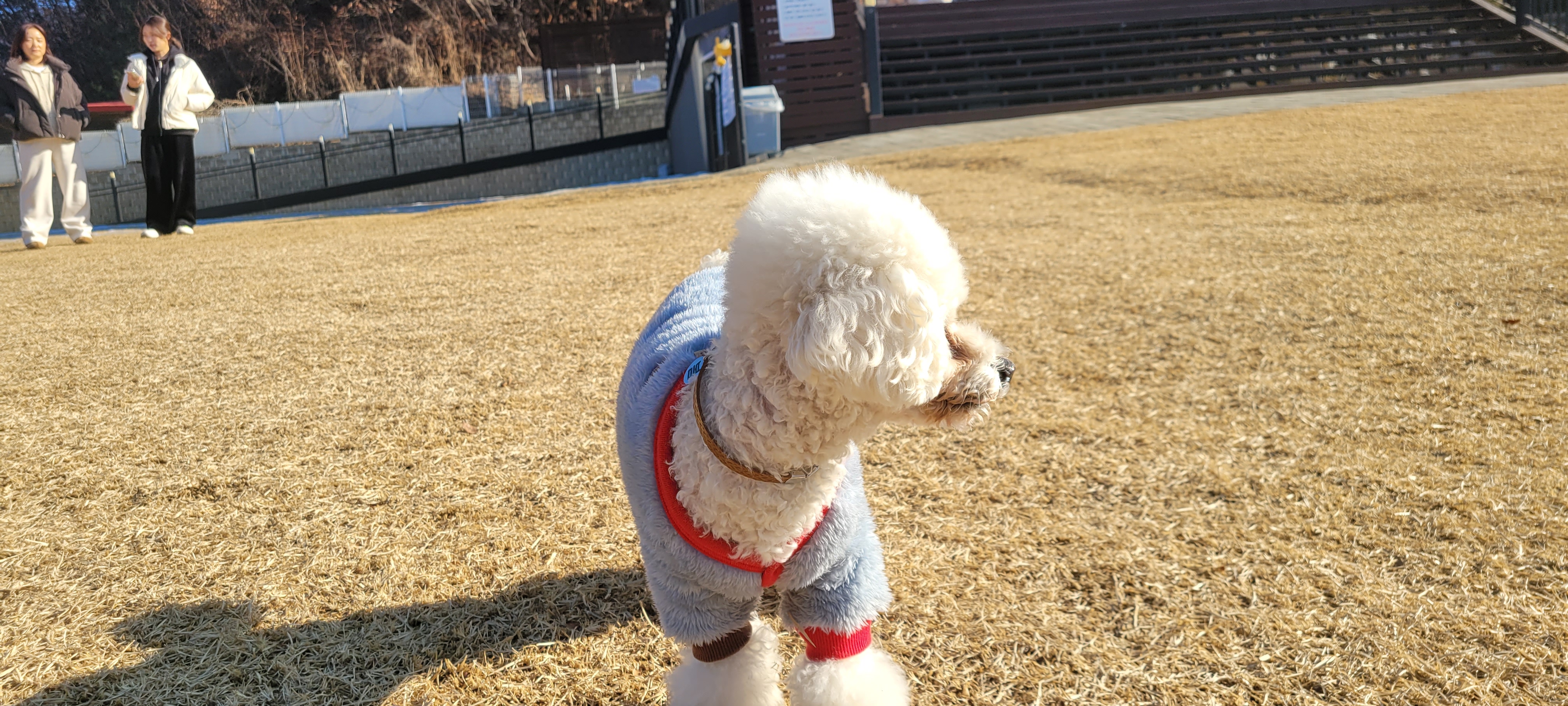 동두천 애견까페 '오도독'