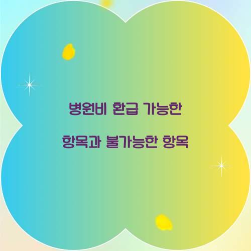 병원비 환급 가능한 항목과 불가능한 항목  