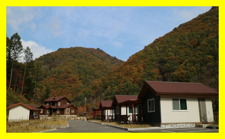 국립자연휴양림 야영예약&amp;#44; 국립자연휴양림 성수기 신청법&amp;#44; 숲속 힐링여행지&amp;#44; 자연속 숙소 추천&amp;#44; 국립자연휴양림 모바일예약&amp;#44; 자연휴양림 모바일 추첨&amp;#44; 성수기 휴양림 객실&amp;#44; 국립자연휴양림 일정표&amp;#44; 국립휴양림 예약 실수&amp;#44; 국립휴양림 사용자후기