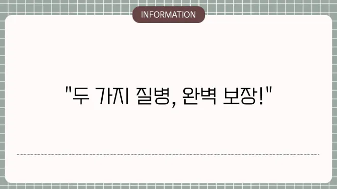 메리츠 2대질병 보장보험 주요 혜택 정리 📌