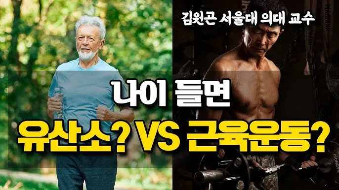 운동 루틴 걷기 근력 스트레칭 낙상 예방 실천법_2