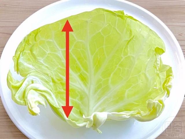양배추 채썰기 써는법 알아두면 좋은 생활지혜 방향