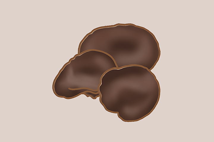 목이버섯-하루-섭취-권장량