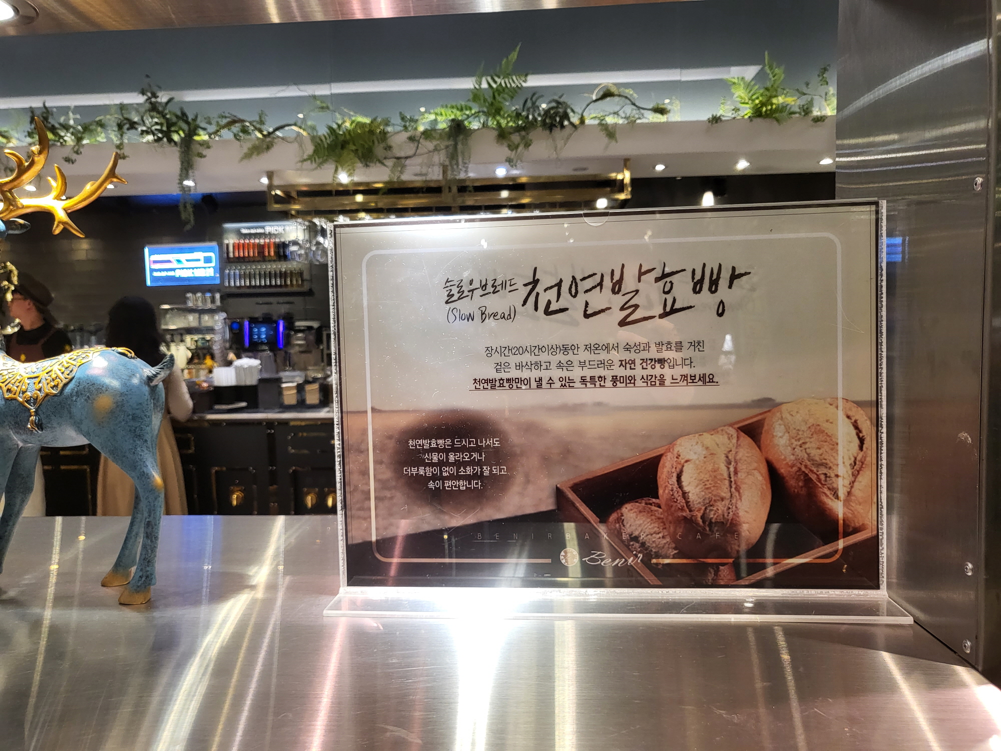 베니어 - 빵2