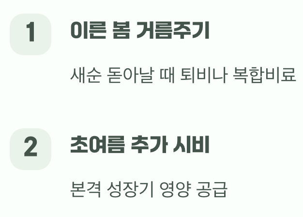 폭발적인 성장을 위한 '물과 거름'