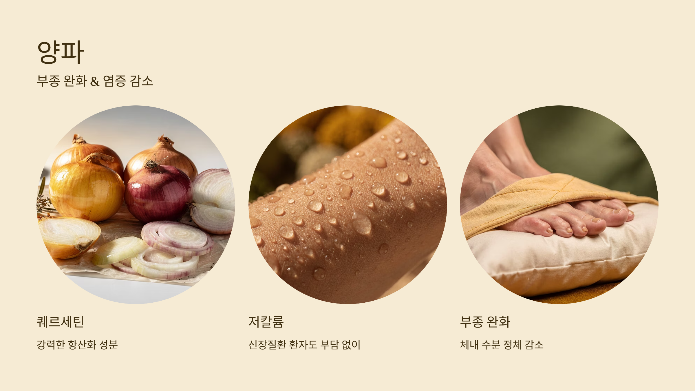 신장에 좋은 음식 양파