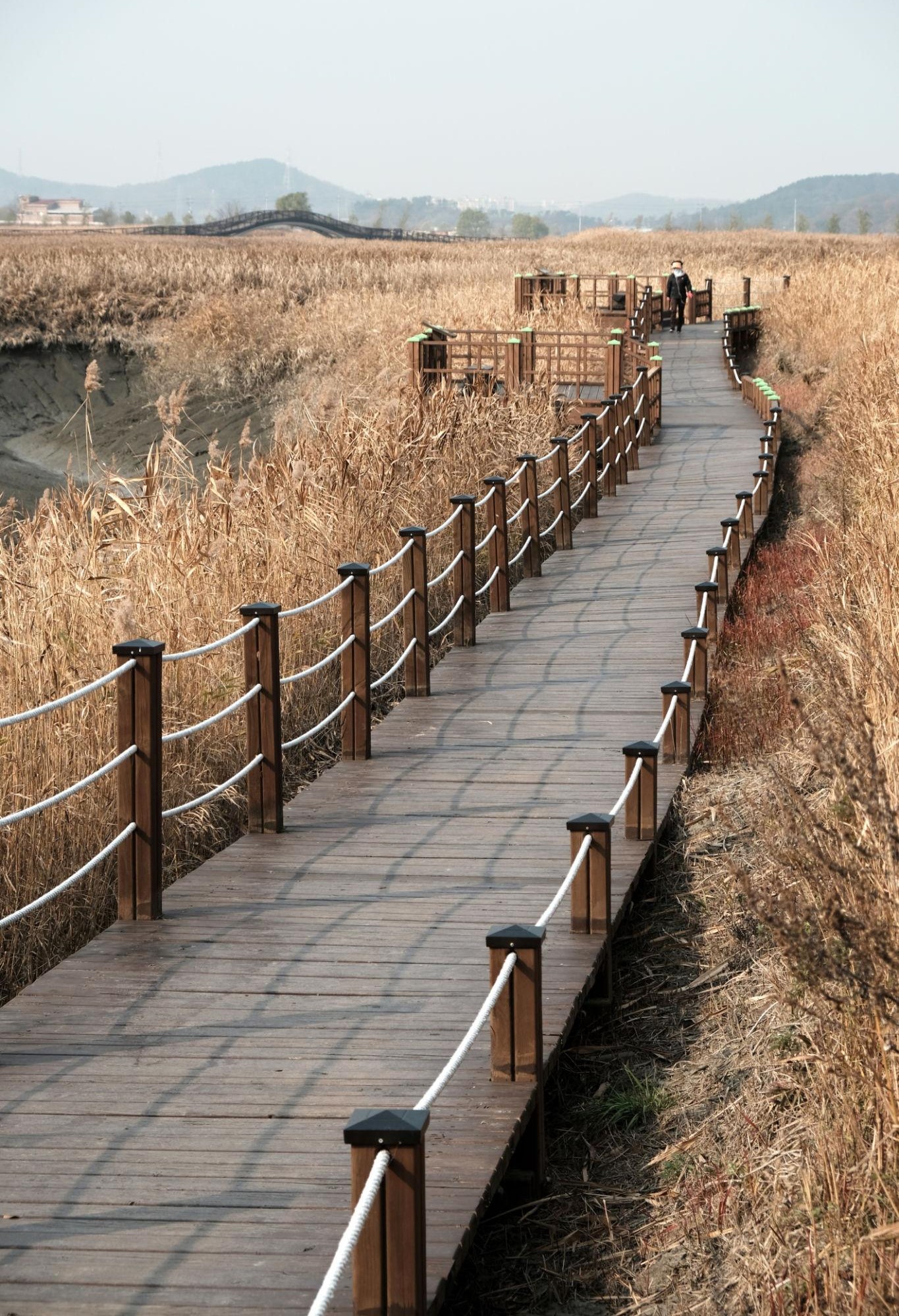 시흥 갯골생태공원 완벽 가이드: 특별한 내륙 염습지에서 만나는 생태 힐링