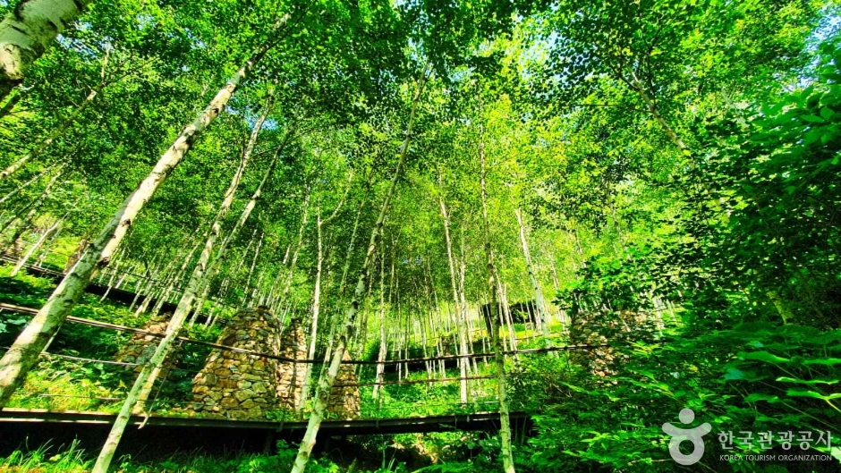 서울 근교 힐링여행 화담숲🌿예약 방법
