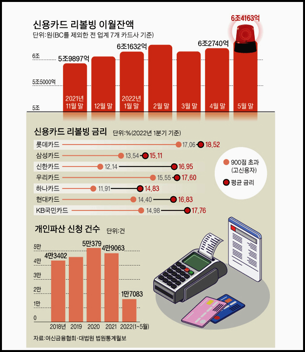 리볼빙 이용현황