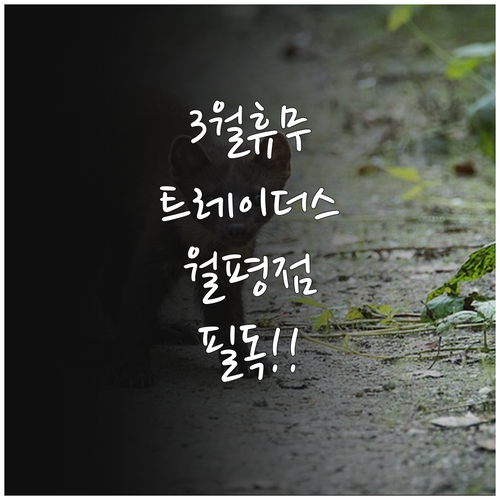 2026년 3월 월평 트레이더스 정기..