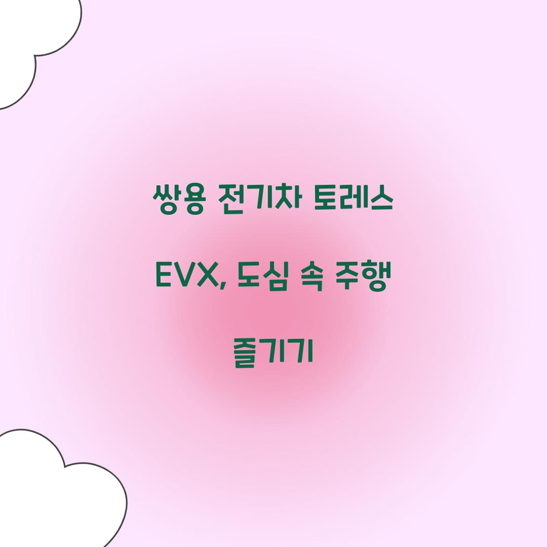 쌍용 전기차