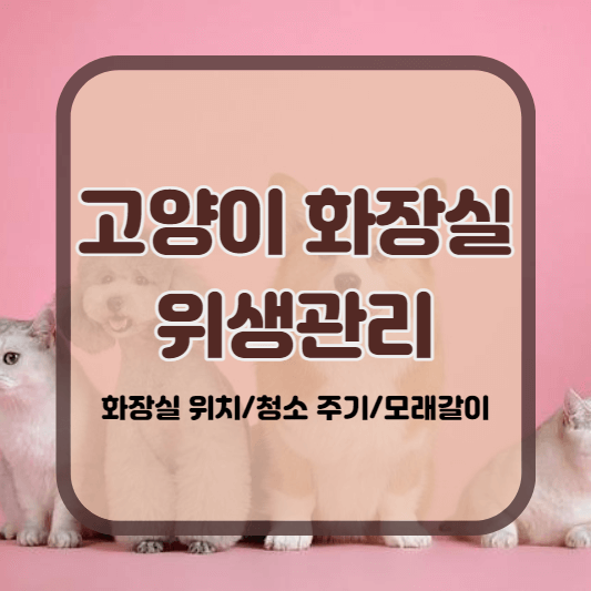 고양이 화장실 청소