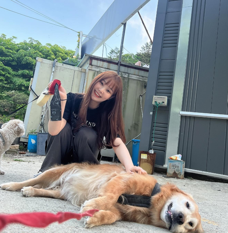 강유진 당구선수 프로필