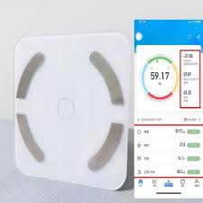 체지방률 정상범위