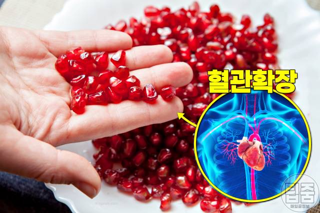 혈관에 좋은 과일 혈행개선제 음식 추천 석류