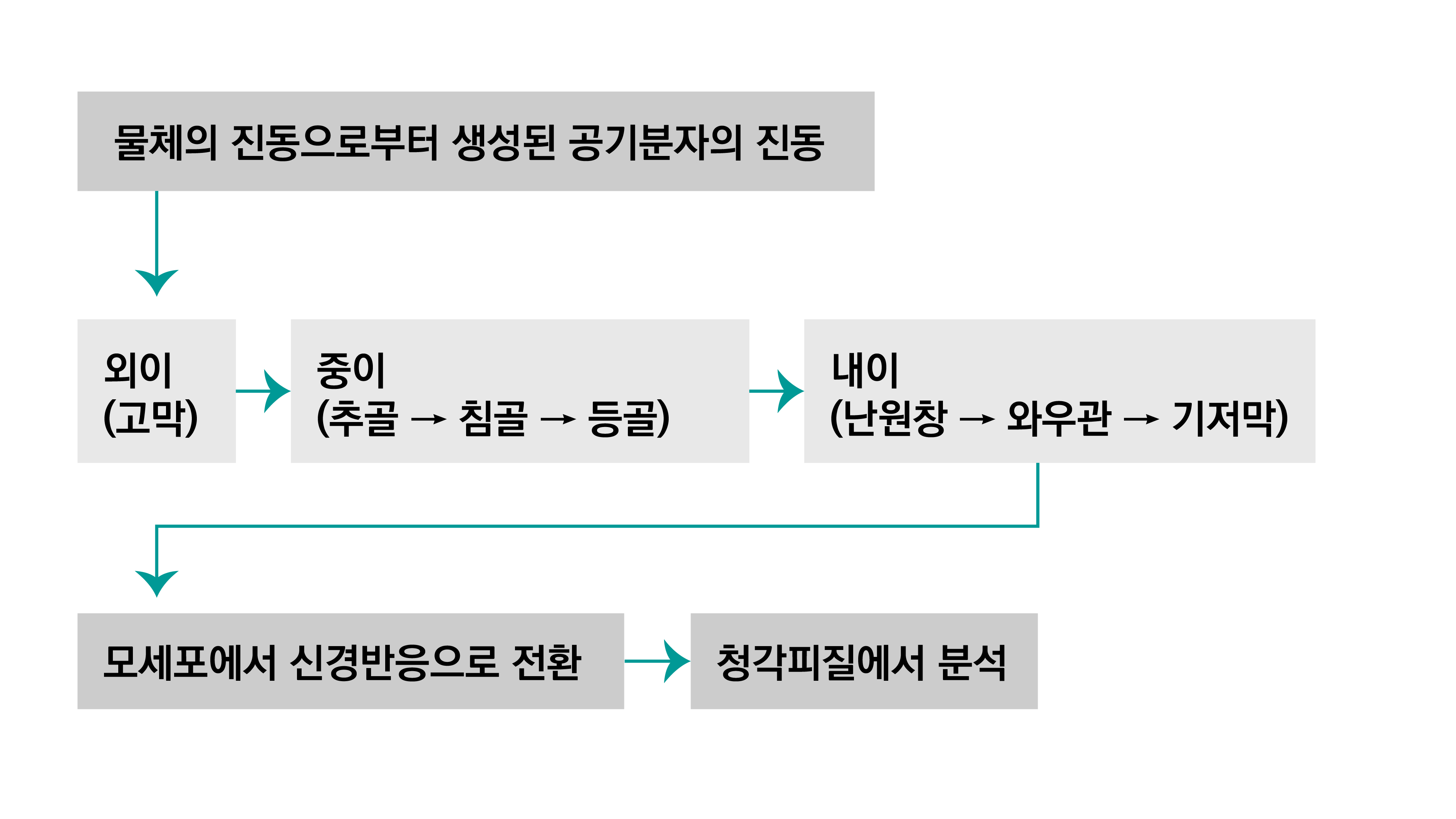 청각 경험의 과정