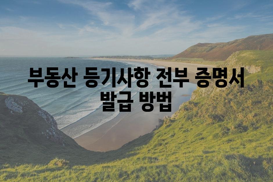 샘플 (86)