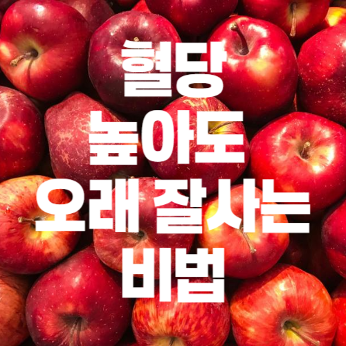 혈당 관리