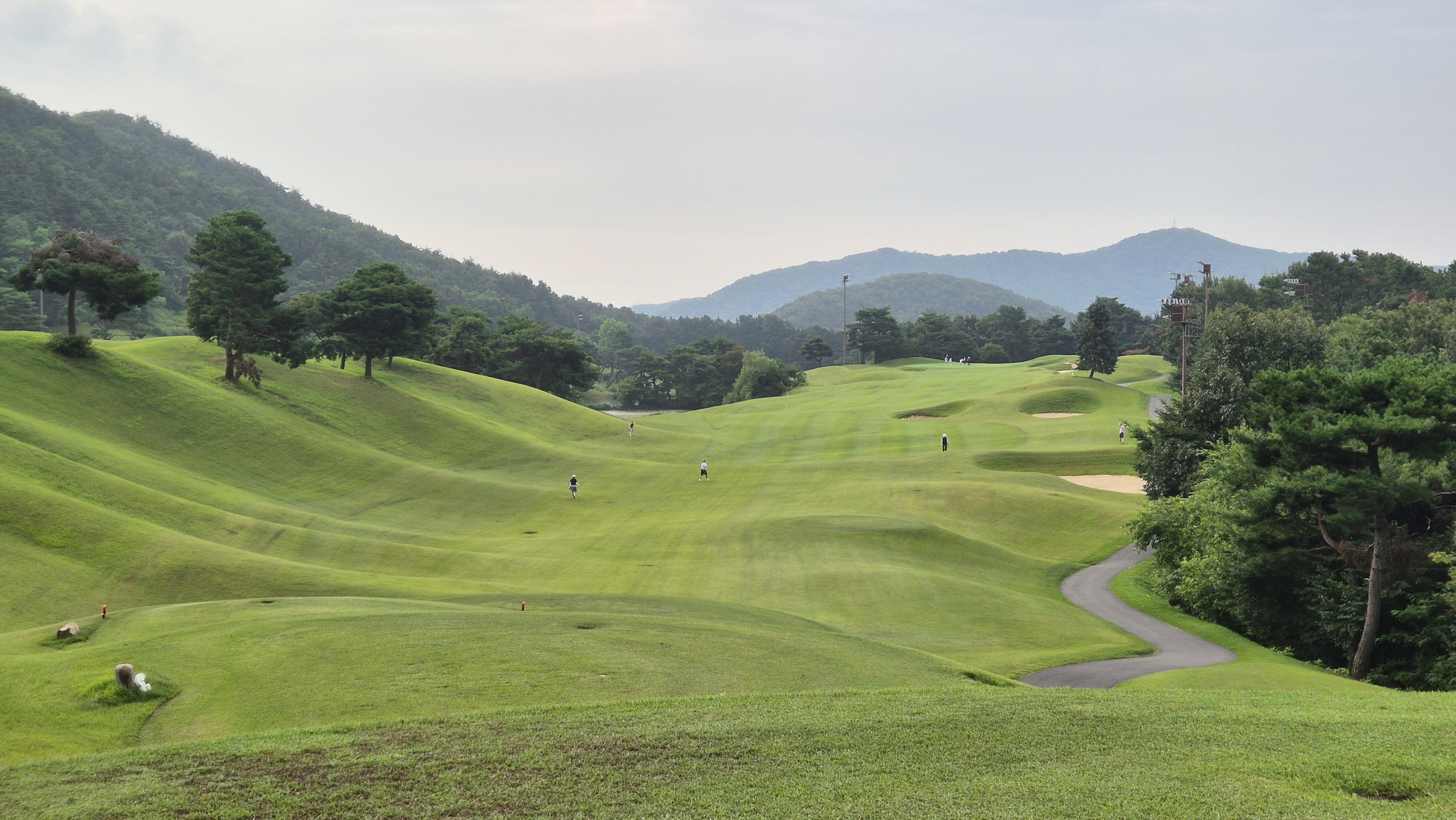 한림용인cc 다이아몬드-사파이어 코스 사진 및 공략 정보