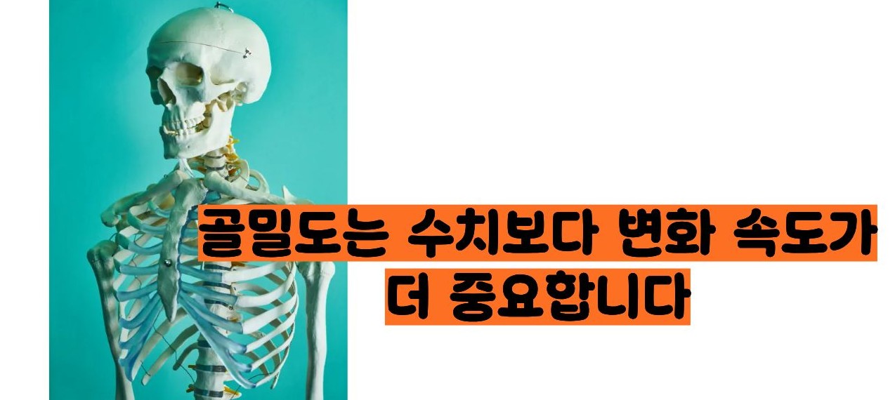 골밀도 정상수치