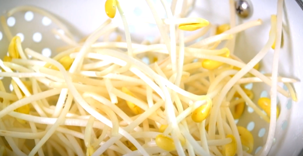 콩나물 씻어둬