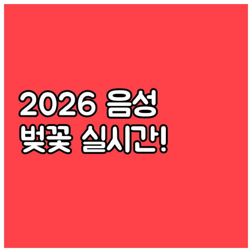 2026 음성 벚꽃 축제 일정과 실시..