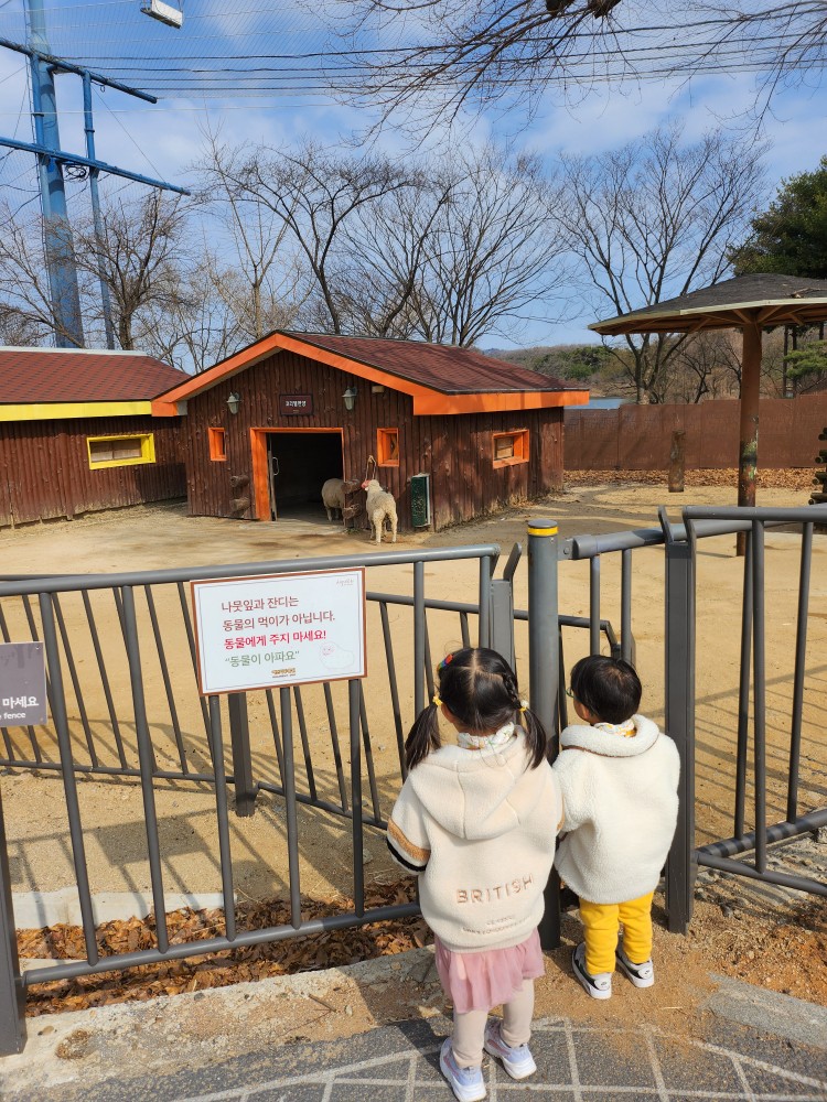 양