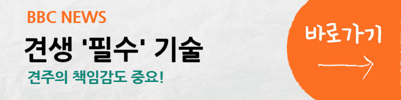 강아지-유치원-비용