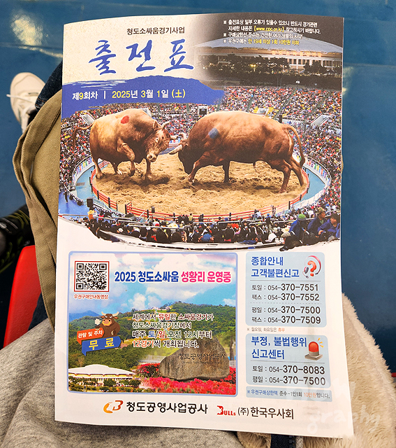 청도-소싸움경기장