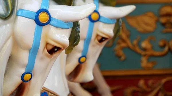 롯데월드 자유이용권