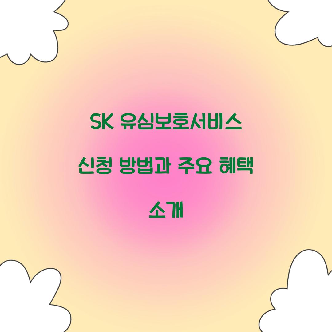 SK 유심보호서비스