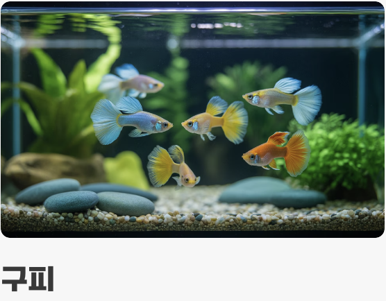 첫 식구를 맞이하는 시간