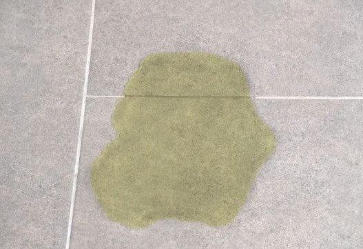 오줌이 넘치는 꿈