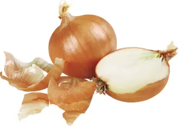 글루타치온이 많이 들어있는 음식 BEST 10