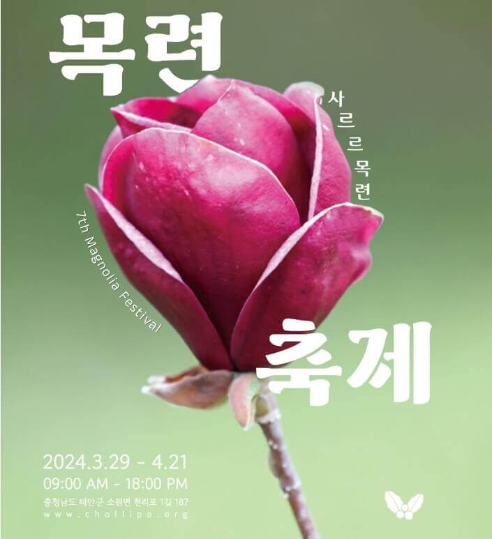 2024 봄꽃축제 가볼 만한 곳 추천