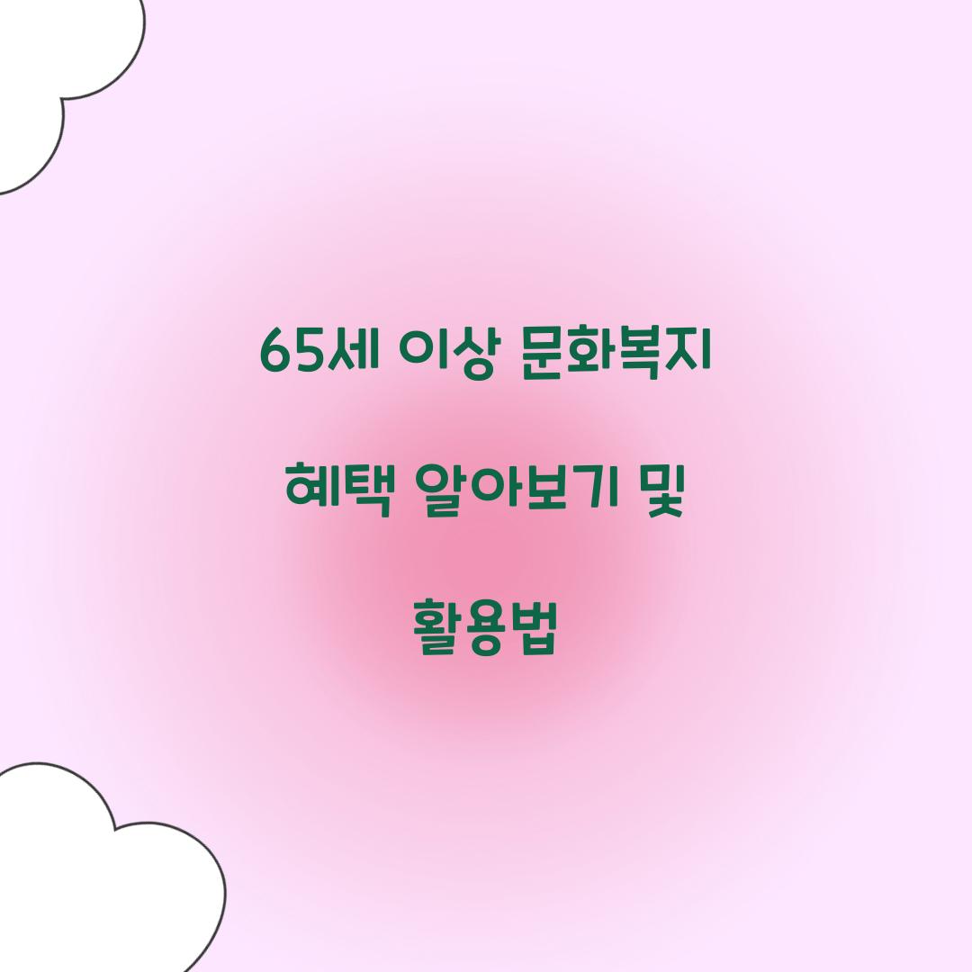 65세 이상 문화복지