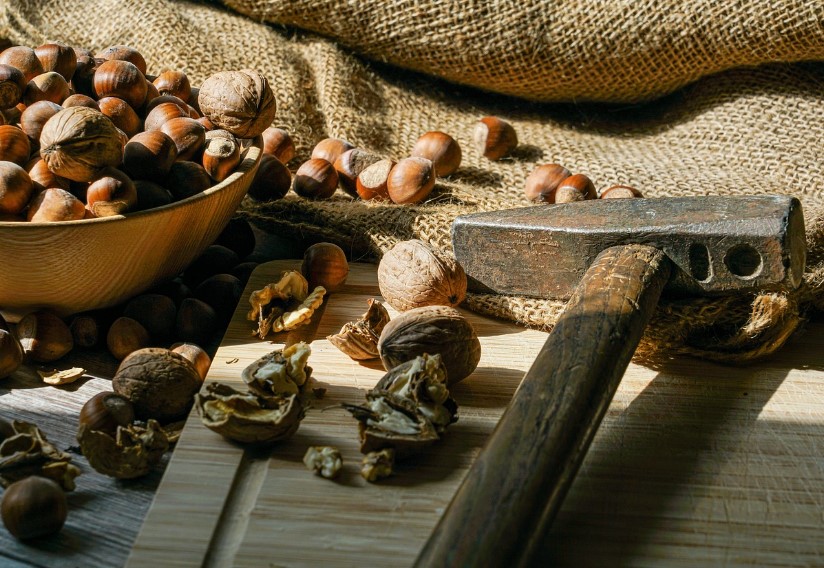 생활속 탈모치료