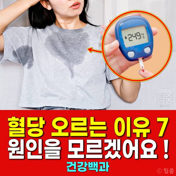 혈당 오르는 이유 혈당상승 혈당변동 저혈당 고혈당 원인