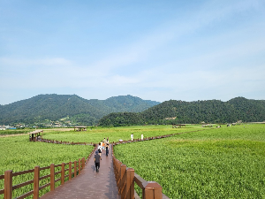 여수 가볼만한 곳 추천 관광지 여수 순천만습지